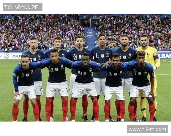 法国足球队队员的职业生涯与成就分析及其对国家队的影响